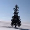 skyler_artemide