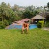 komeng4210