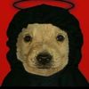 _jesus_2406