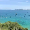 luuthanhxuan_0209