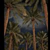 omyazid199