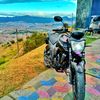 carlos.d_742