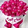 haventaeb7