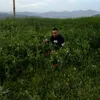 nabilalami996