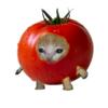 tomate_2311