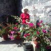 rosa.0930.c