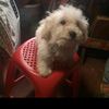 elguapogmail.com