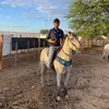 felipefernandes9117