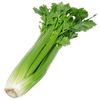 quintessential_celery