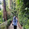 alfi_aja01
