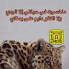 its_m2awde
