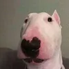 matb3din