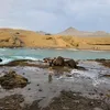 reyfiel_