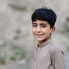 syedmehmoodshah15