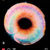 seamoss7
