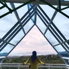 zulfimh