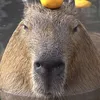 cyborg_capybara1