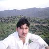 hayatafridi304