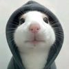 akungajeee_09