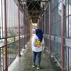 lindasari4796