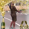 confessorcyndy