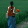 sandar86362