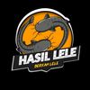 lele.stk