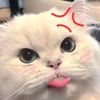 ..41192