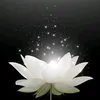 hp.huong