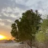 تصوير🌇