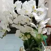 nguoidungfabe