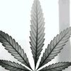 georgefields420