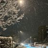 winter_rains_t