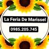 marissel.novedades