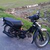 anggajah11