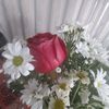 tubayildirim238