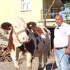 Hüseyin POLAT