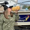 traceyschaotickitchen