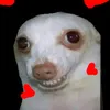i_love_jiafei47