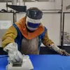 chaleconelulises