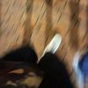 jaimesaavedra95