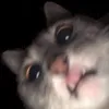 ifiy6