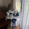 daisycraft.mkw
