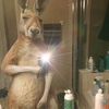 dave_1223