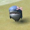seraasakiwwv