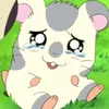 hamutarosan0