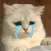 thanhthaoo182
