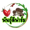 1000d_farm