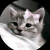itsoliv6