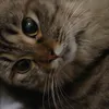 jayline_5